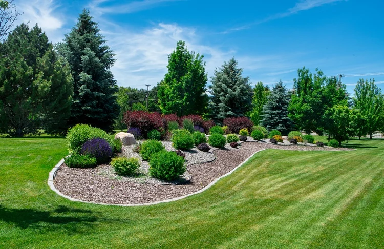 shrubs mulch trees Landscaping and Lawn Care Services | PRO Land | Snow | Grand Forks, MN